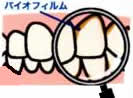 問診・カウンセリング